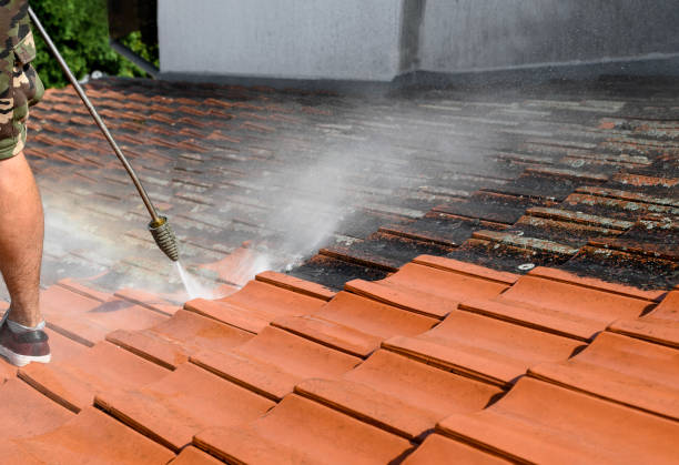 Best Residential Pressure Washing Services  in Jan Phyl Village, FL