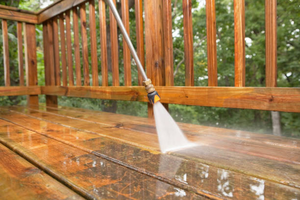 Best Pressure Washing Company Near Me  in Jan Phyl Village, FL